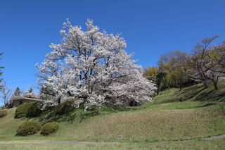 平成31年中区配水場開放