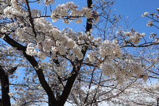 平成31年中区配水場開放