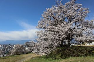 平成31年中区配水場開放